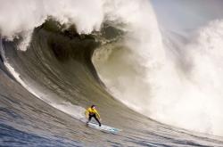 AYXapp下载-从魔术防守到世界之巅，布伦森的2026接管宣言