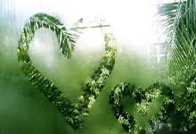 爱游戏中国-爵士后卫全面表现，引领球队取胜