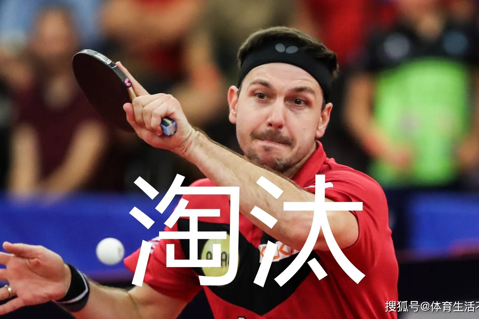 关于法国乒乓球队绝地反击日本乒乓球队，波尔统治全场的信息
