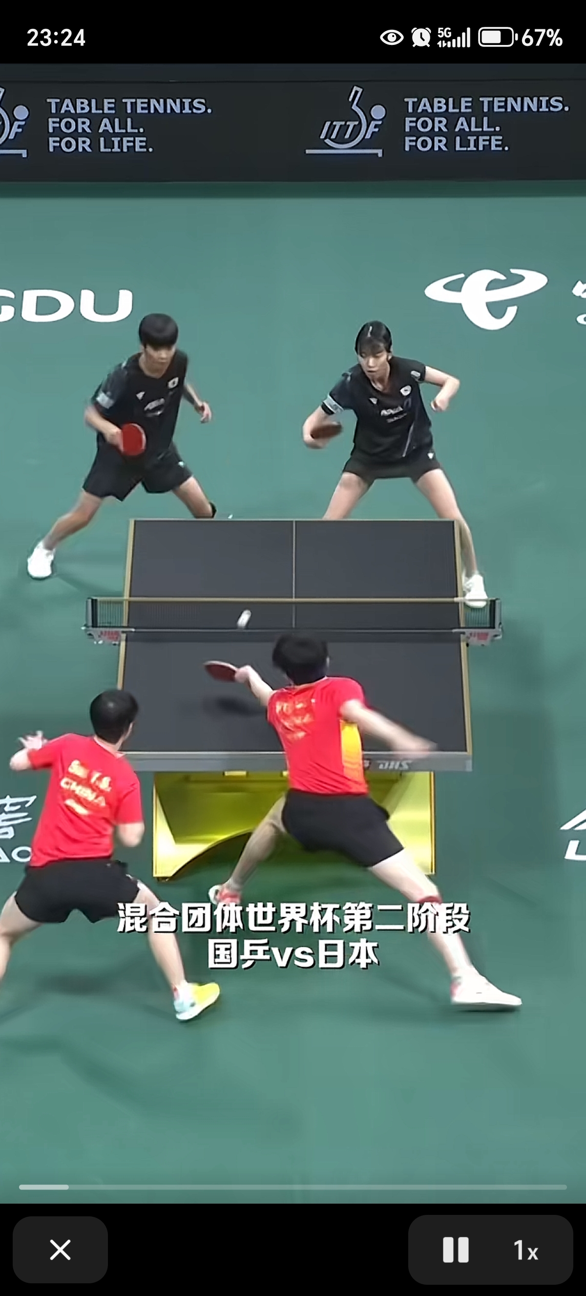 中国乒乓球队鏖战法国乒乓球队，波尔统治全场的简单介绍