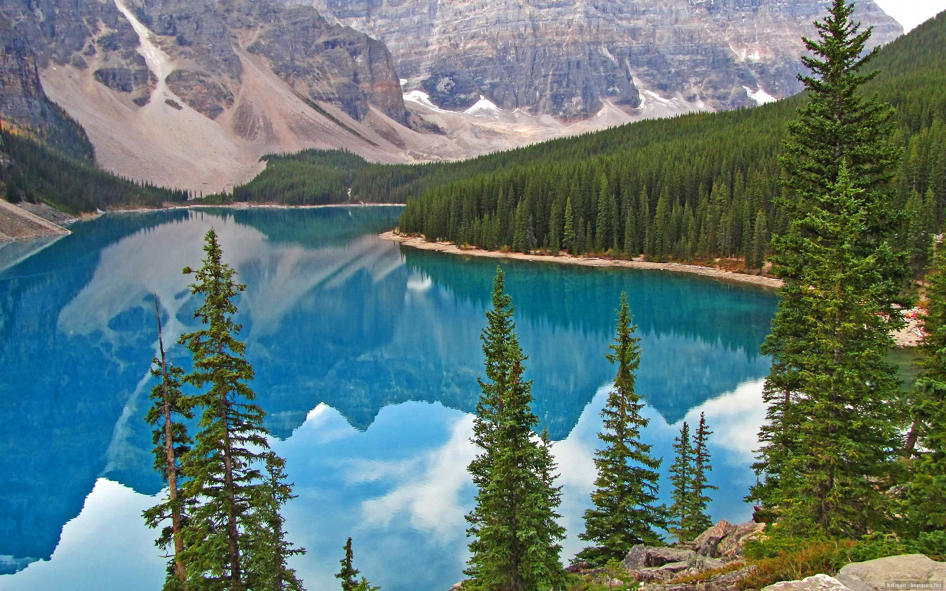 逆袭之夜，利拉德扛起全队，奇才力克鹈鹕锁定关键胜利